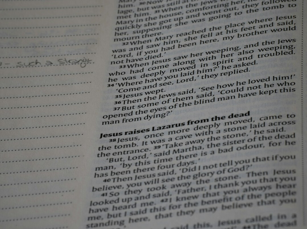 suspense novel pages
