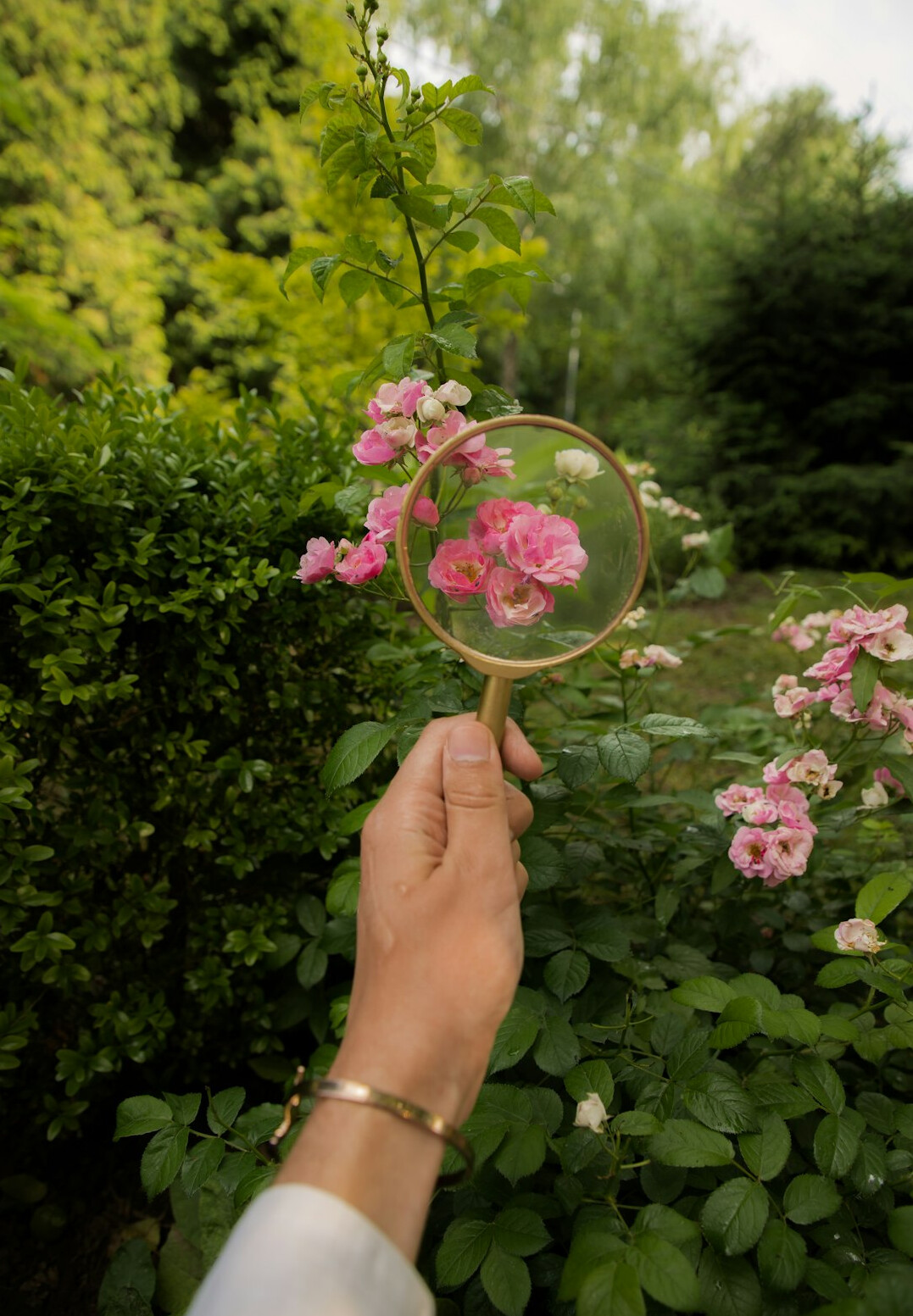 detective magnifying glass